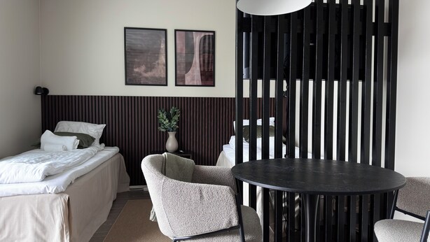 A modern hotel room with a bed, two chairs, a round table, a potted plant, and two framed pictures on the wall.