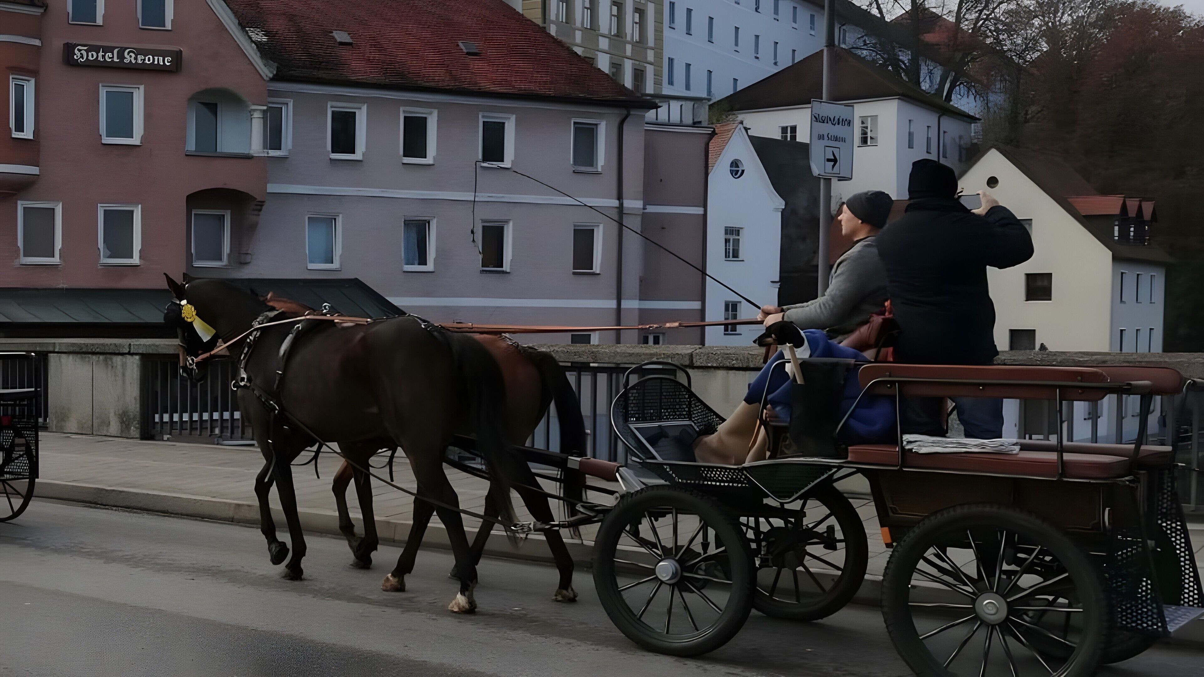 A horse-drawn carriage on a street with buildings in the background.