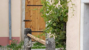 Eine Holztür mit Metallriegel, ein Steinpfosten und eine darüberwuchernde Weinranke.