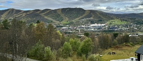 Imagen general