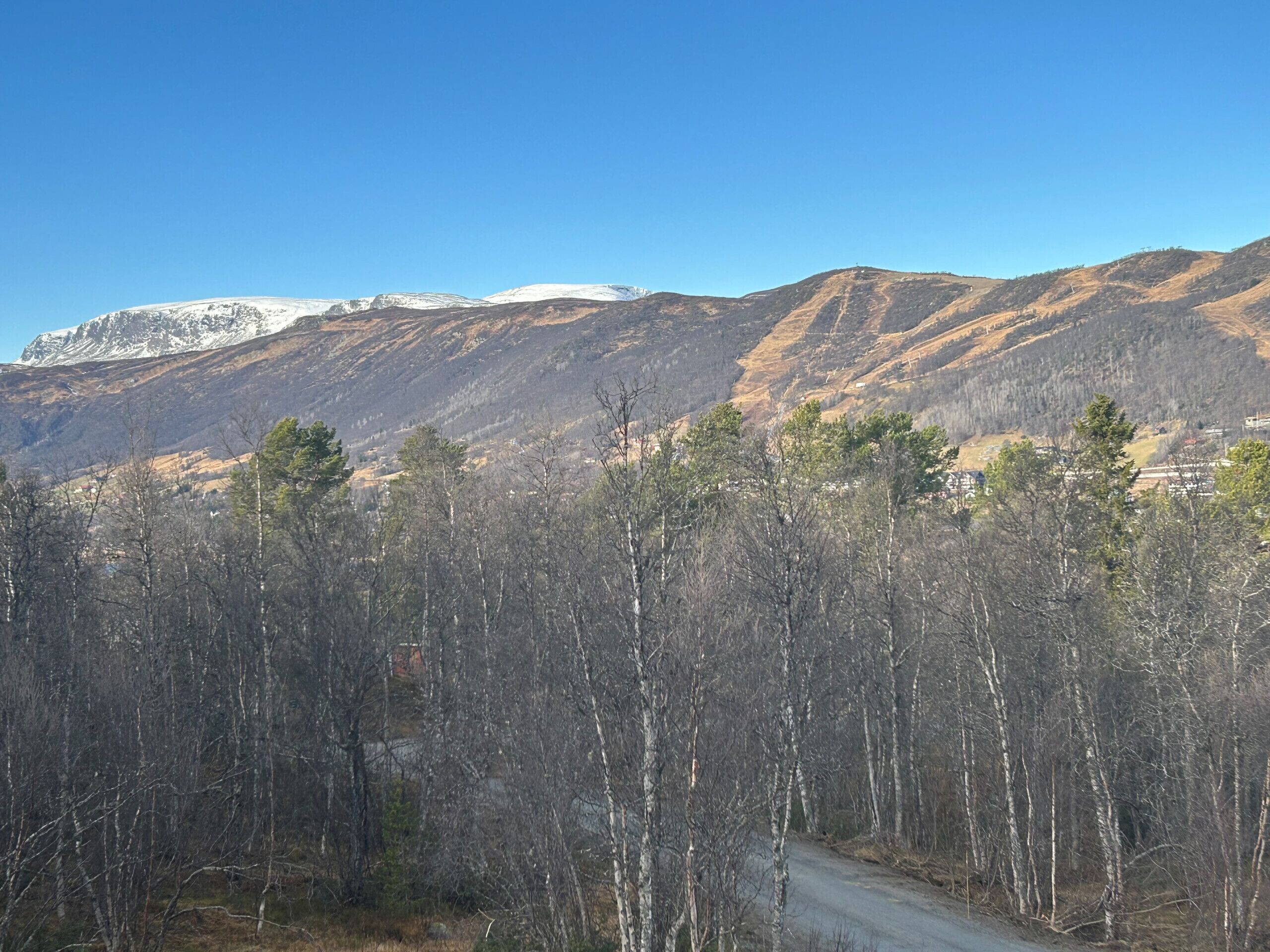 A mountainous landscape with a road, trees, and a clear sky.