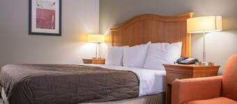 Family Suite-King Bed||Pull-Out Sofa|Smk