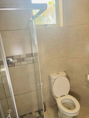 Bathroom - Serene Air-Conditioned Flatlet in Central Wellington (Wellington)
