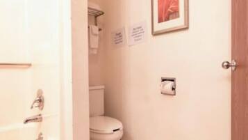 Un pasillo estrecho con ducha, inodoro y una puerta que da a otra habitación.