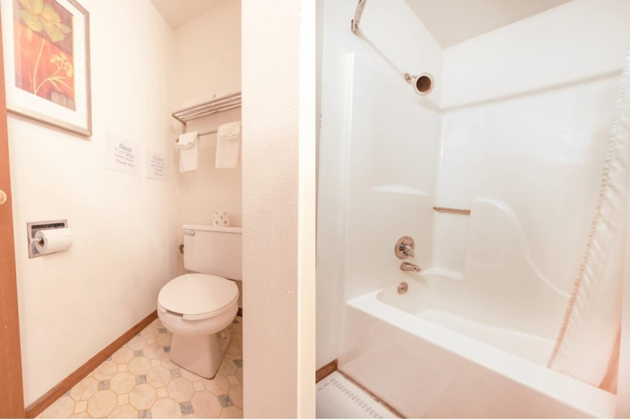 A bathroom with a toilet, a sink, and a shower.