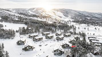 Eksteriør
