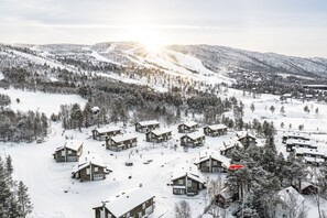 Eksteriør