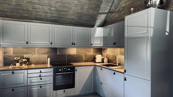 Eine moderne Küche mit grauen Schränken, einem eingebauten Backofen und einer Spüle aus Edelstahl.