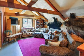 TV, fireplace, books