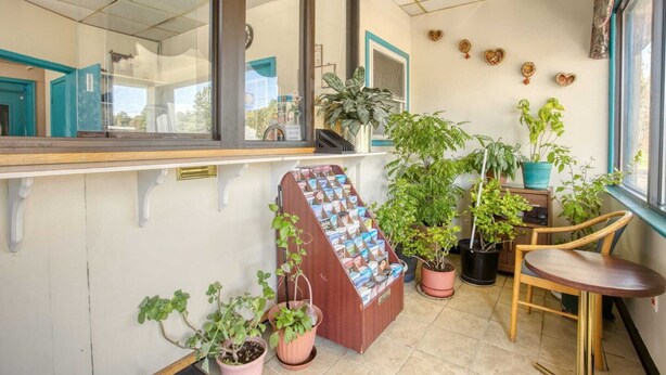 Un balcon agrémenté de plantes en pot, une table en bois et un porte-revues.