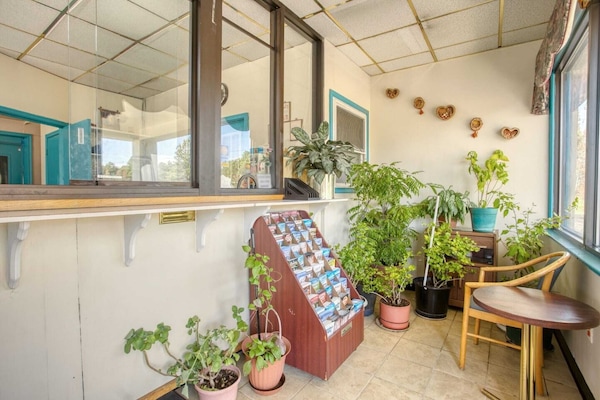 Entrance / Reception