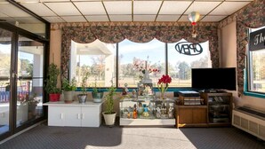 A room with a large window, a television, a cabinet with decorative items, and a potted plant. - 2 Full Bed|Smoking|Petersburg VA (Petersburg VA)
