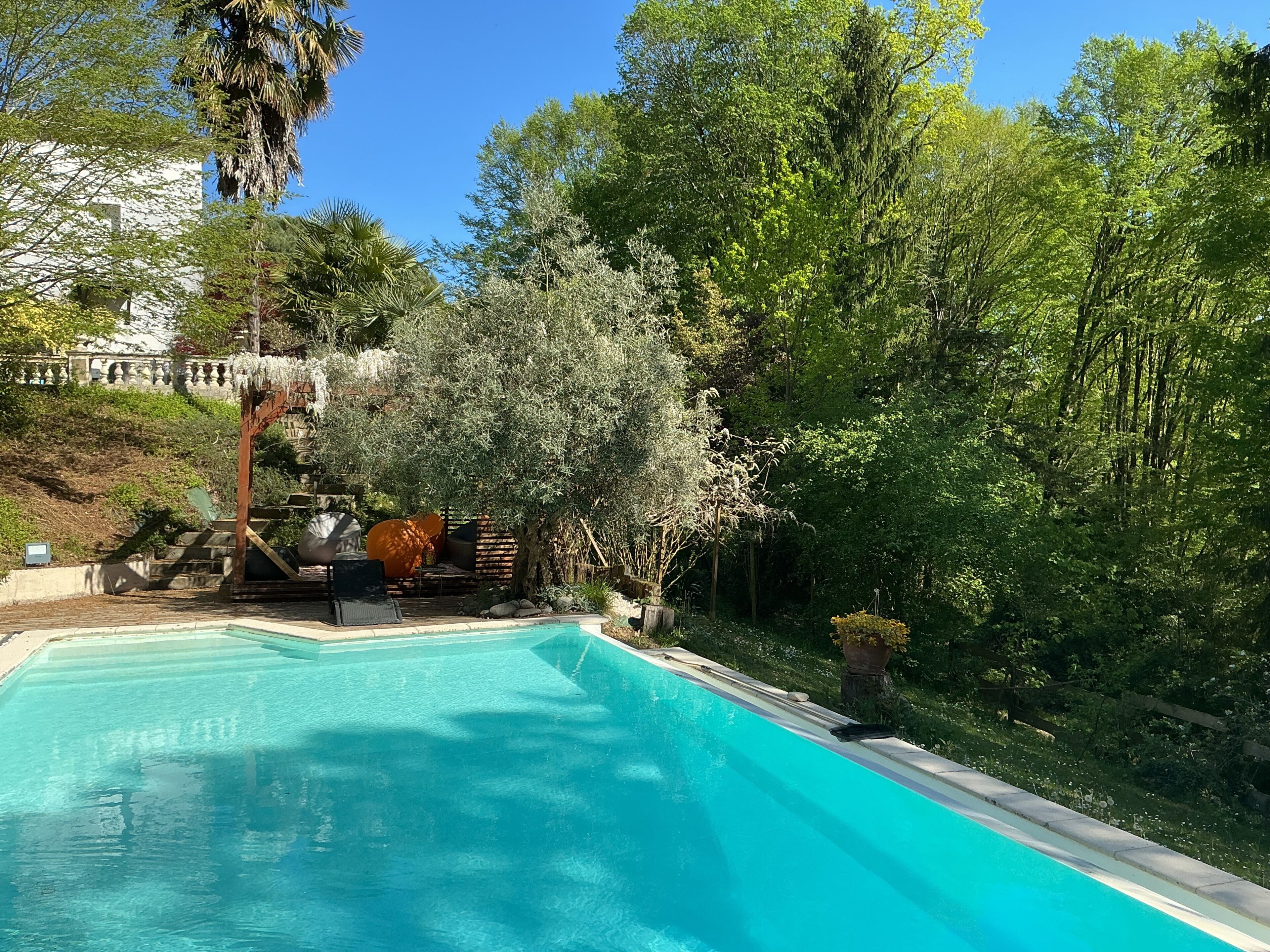 Une piscine entourée d’une végétation luxuriante et une pergola avec des sièges.