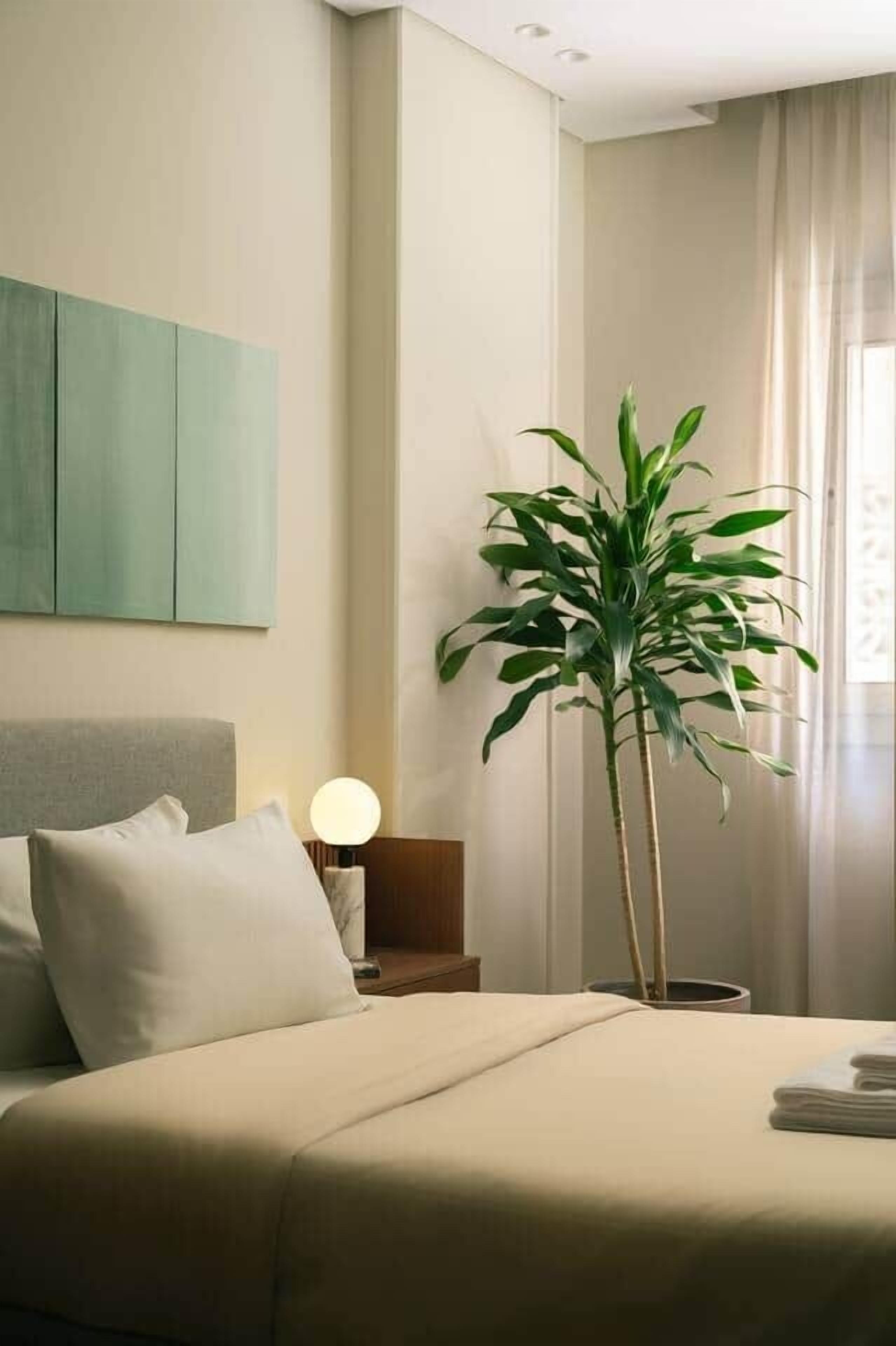 A hotel room with a bed, a nightstand, a lamp, and a potted plant.
