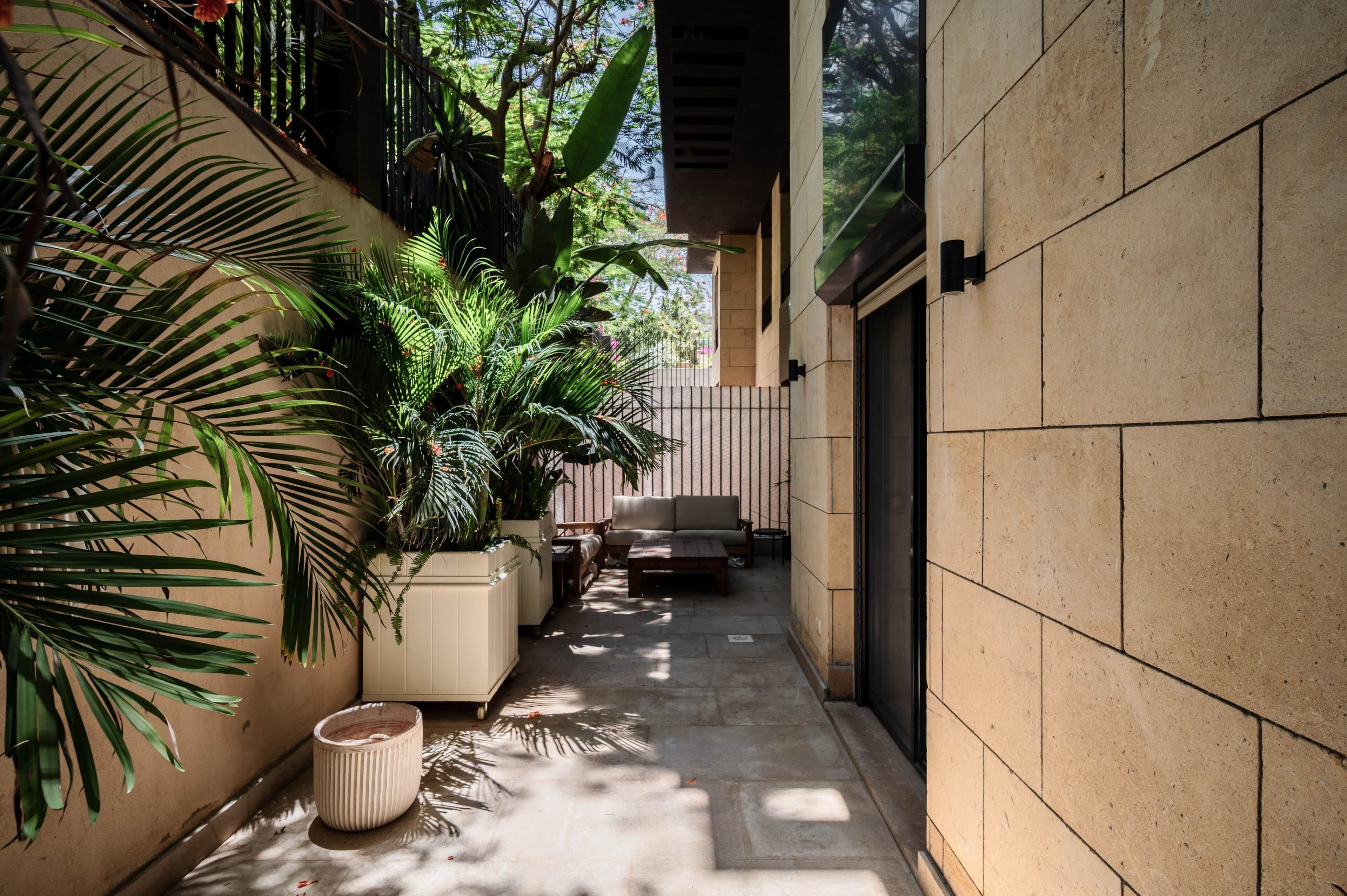 Terraza o patio