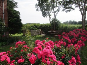Outdoor dining - defaultName (Alkersum)