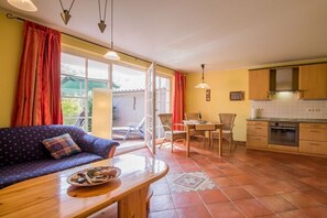 Smart TV, fireplace, DVD player, books