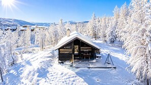 Exterior - Ski in/Ski out in Geilo – Comfortable Cabin in Vestlia with 3 Bedrooms (Hol)