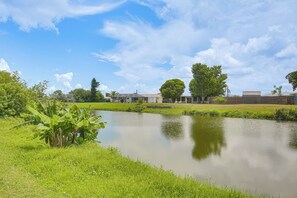 Eine friedliche Außenanlage mit Teich, üppiger Vegetation und einem Gebäude mit flachem Dach.