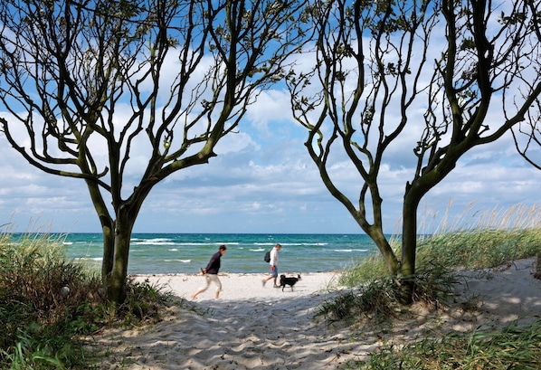 Beach nearby - "Haus Blauer Schwede" Vacation Home with Three Bedrooms and a Terrace in Kaltenhof (Insel Poel / Kaltenhof)