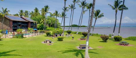 A resort with a pool, palm trees, and a view of the water.