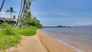 Une plage bordée de palmiers, une rive sablonneuse et une étendue d’eau.