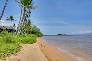 Ein Strand mit Palmen, sandigem Ufer und einem Gewässer.