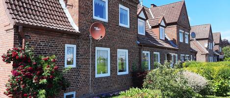 A row of traditional brick houses with white window frames, a satellite dish, and a garden with flowers.