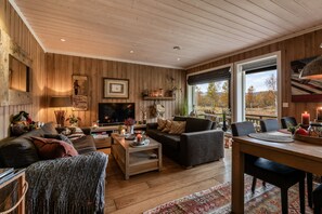 TV - Geilotunet Apartment (Hol)