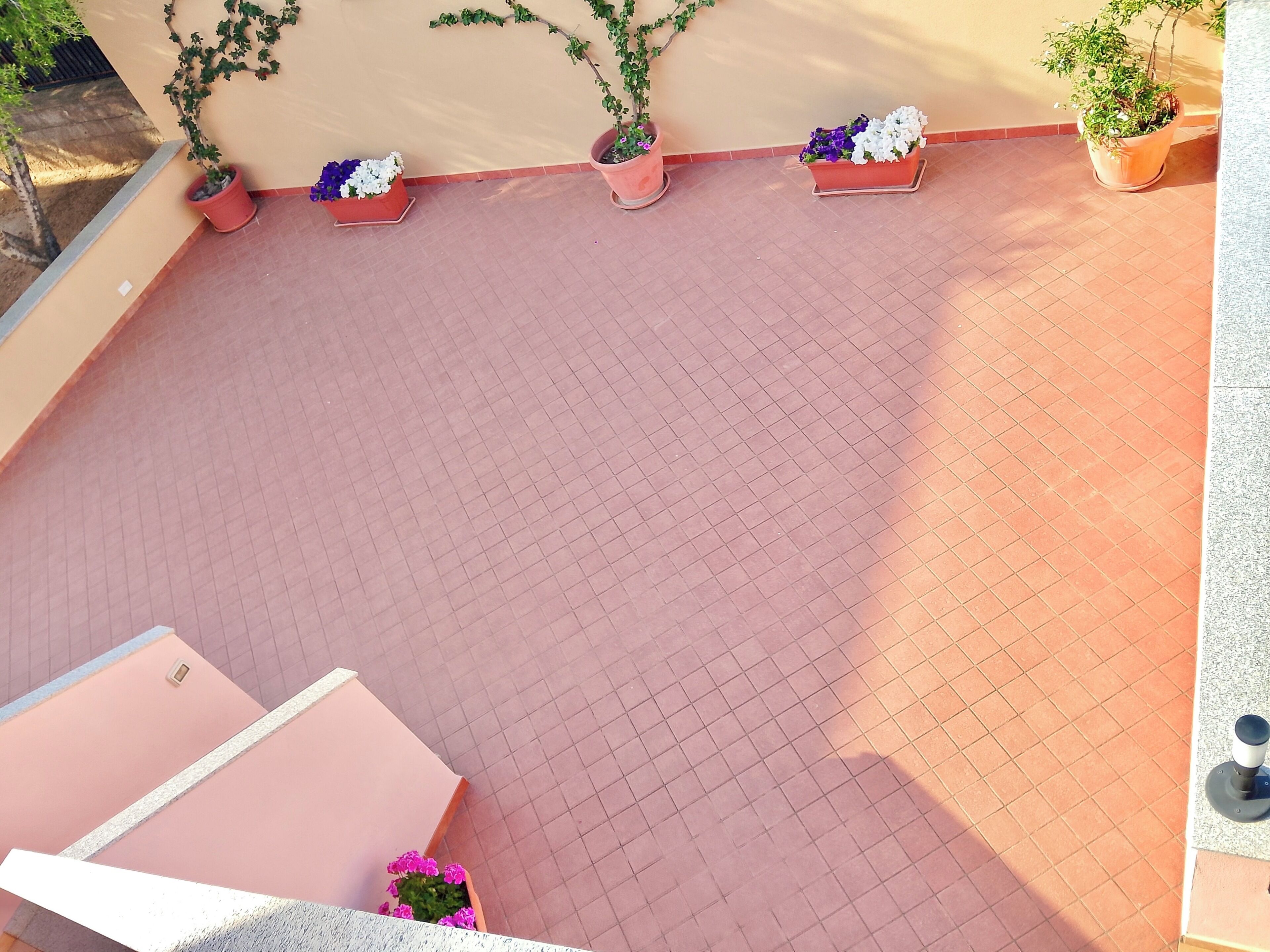 Zona de pati amb terres, plantes en testos i una taula rosa.