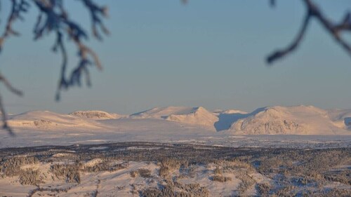 Nydelig hyttetun på Torpoåsen