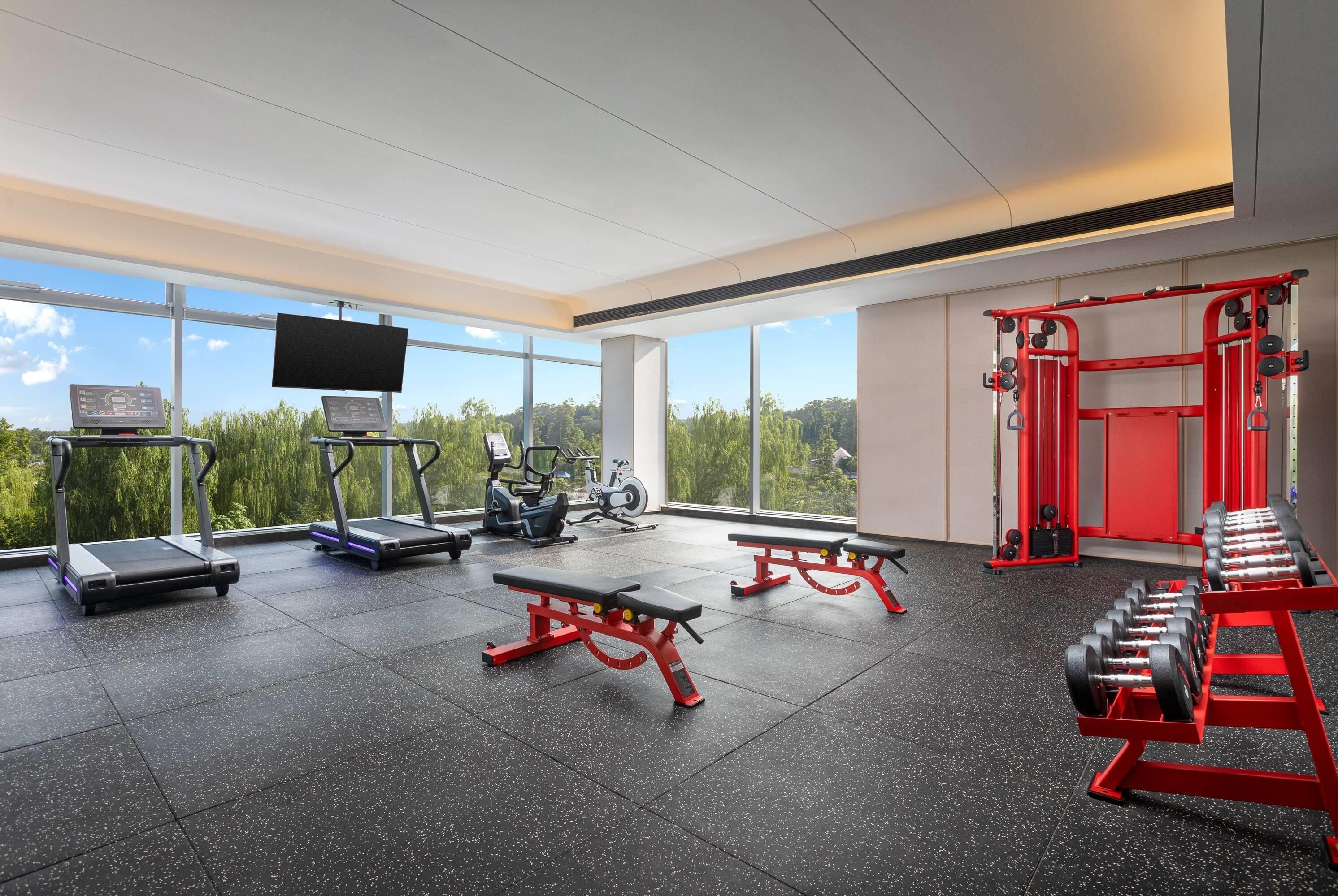 A gym with treadmills, exercise bikes, benches, and weightlifting equipment.