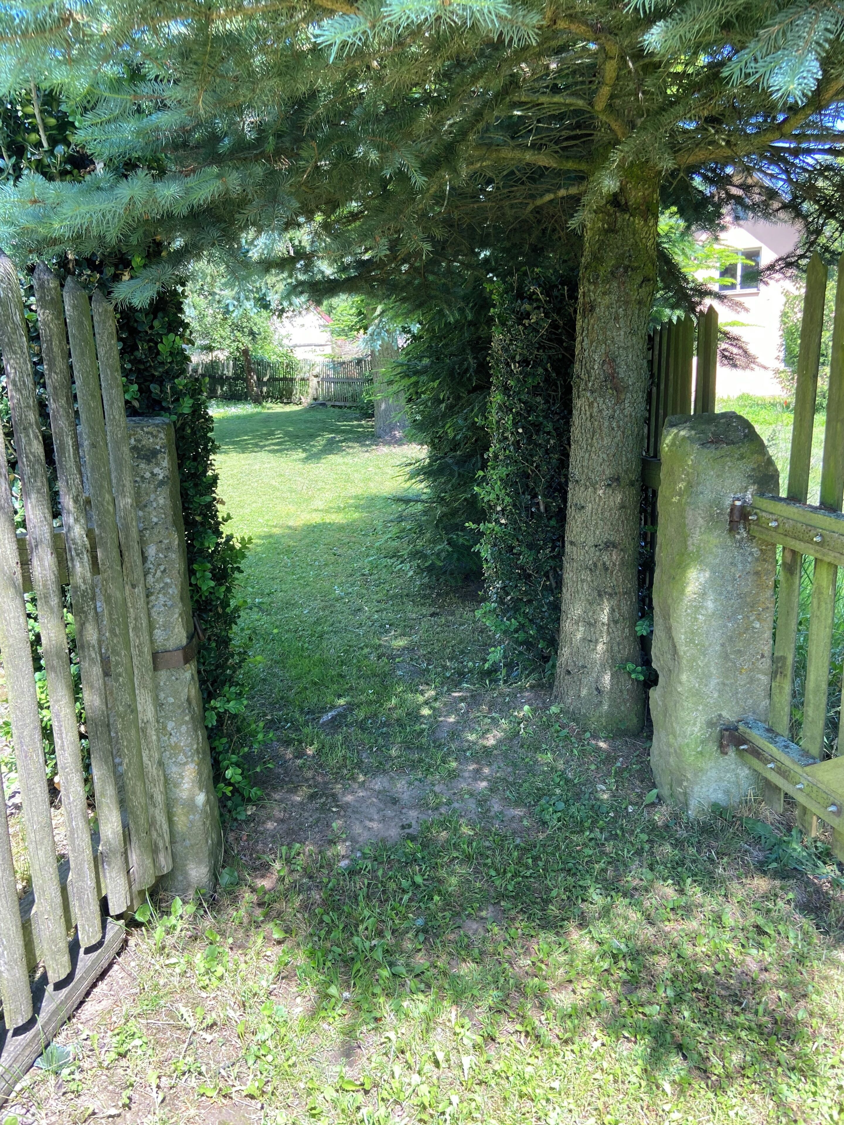 A wooden gate leading to a grassy area with a tree arching over it.