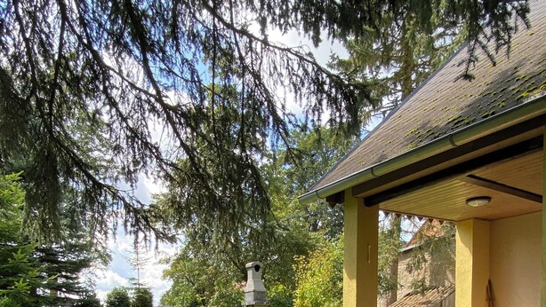 A covered outdoor seating area with a stone fireplace, surrounded by a well-maintained lawn and trees.