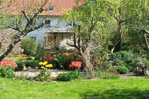 Property grounds - in the Sundevit house (Sundhagen \/ OT Reinberg)