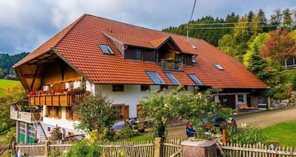 Farm in Steinach with swimming pool