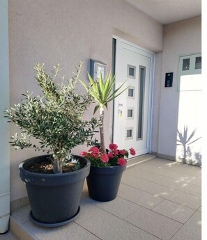 Exterior detail - Villa Natasha with Pool (Makarska)