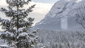 Un interno accogliente con vista su alberi e montagne innevate.