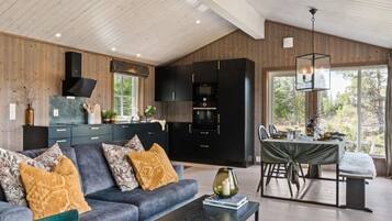 TV, fireplace, DVD player