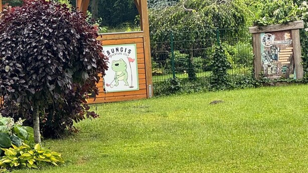 Uma estrutura de madeira com uma placa indicando 'Bungis Adventure Golf' e uma área cercada com grama e árvores.