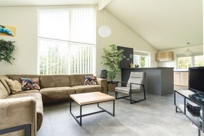 Smart-TV, Kamin
