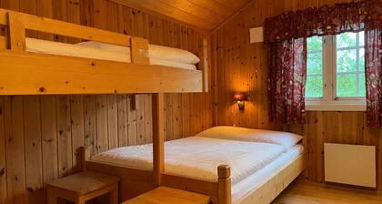 Mountain cabin 7 in Ål with Sauna