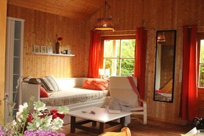 Smart-TV, Kamin