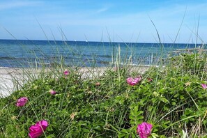 Am Strand