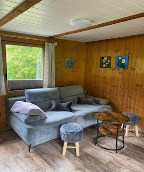 Smart TV, fireplace - Holiday home with 1 bedroom (Harzgerode)