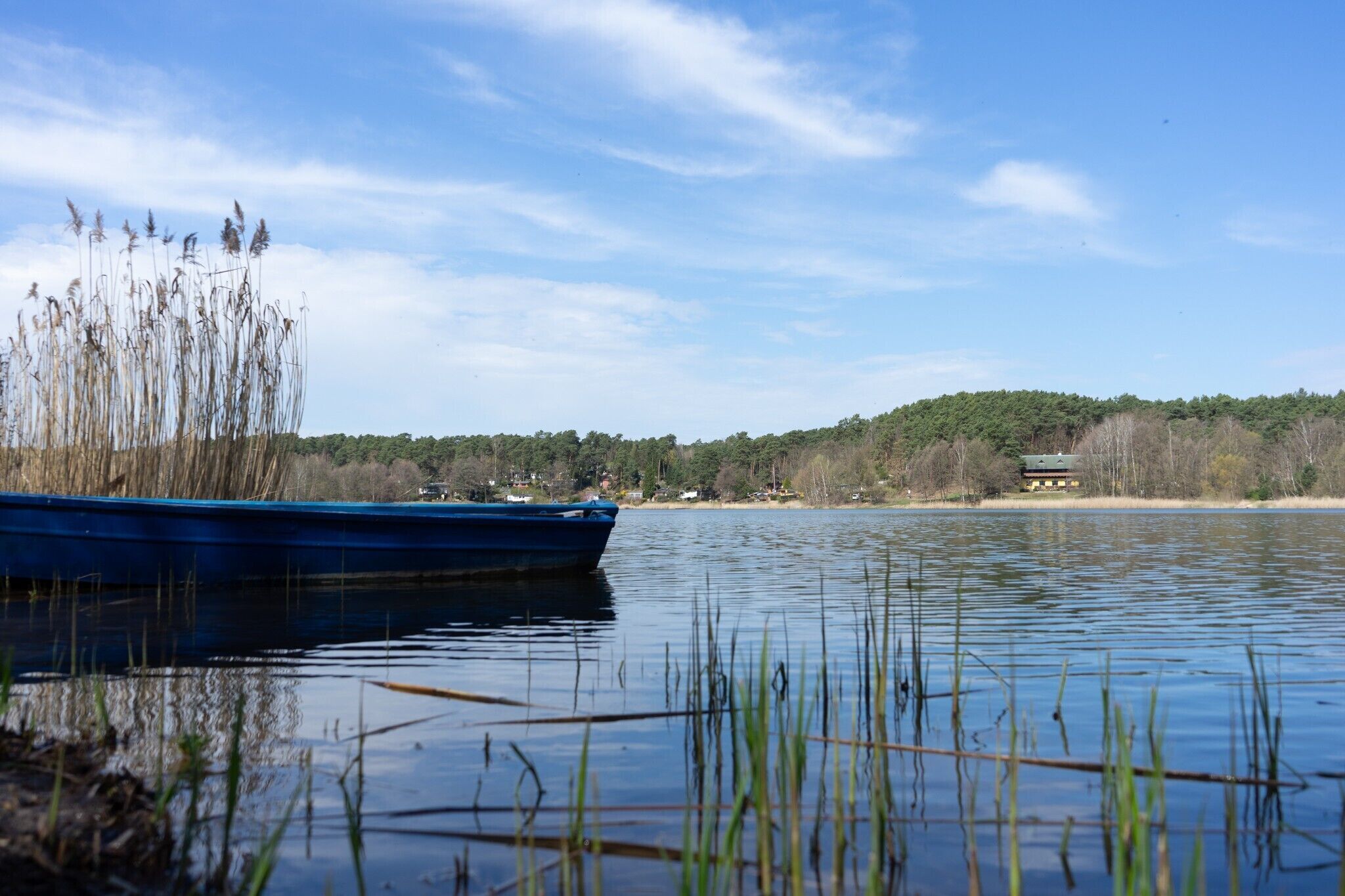A calm lake with a blue boat docked on the shore, surrounded by reeds and a forested hill in the background.
