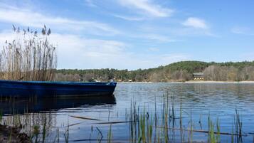 A calm lake with a blue boat docked on the shore, surrounded by reeds and a forested hill in the background.