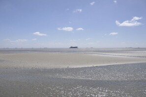 A wide beach with calm waters and a distant ship. - Feringhüs Wrixum, Holiday Apartment No. 1 (Wrixum)