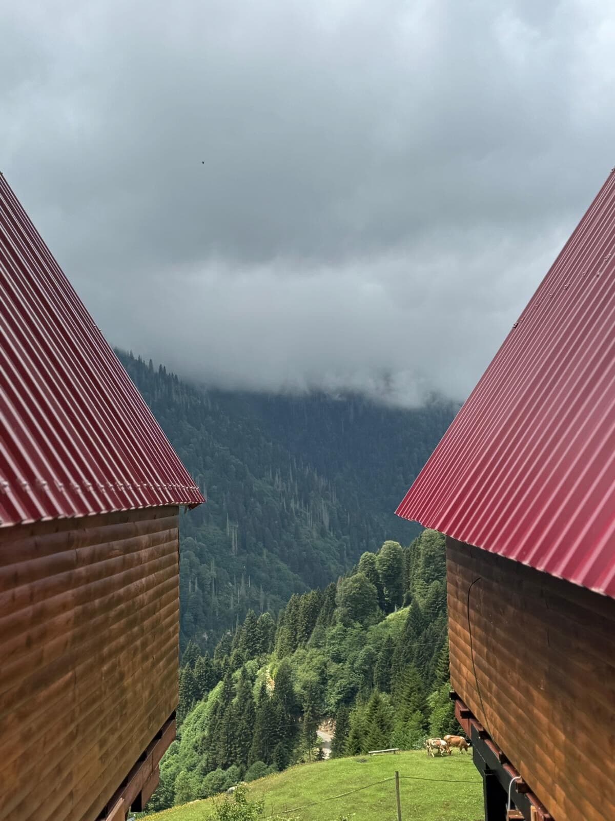 Two wooden buildings with red roofs, a mountainous landscape, and a cloudy sky.