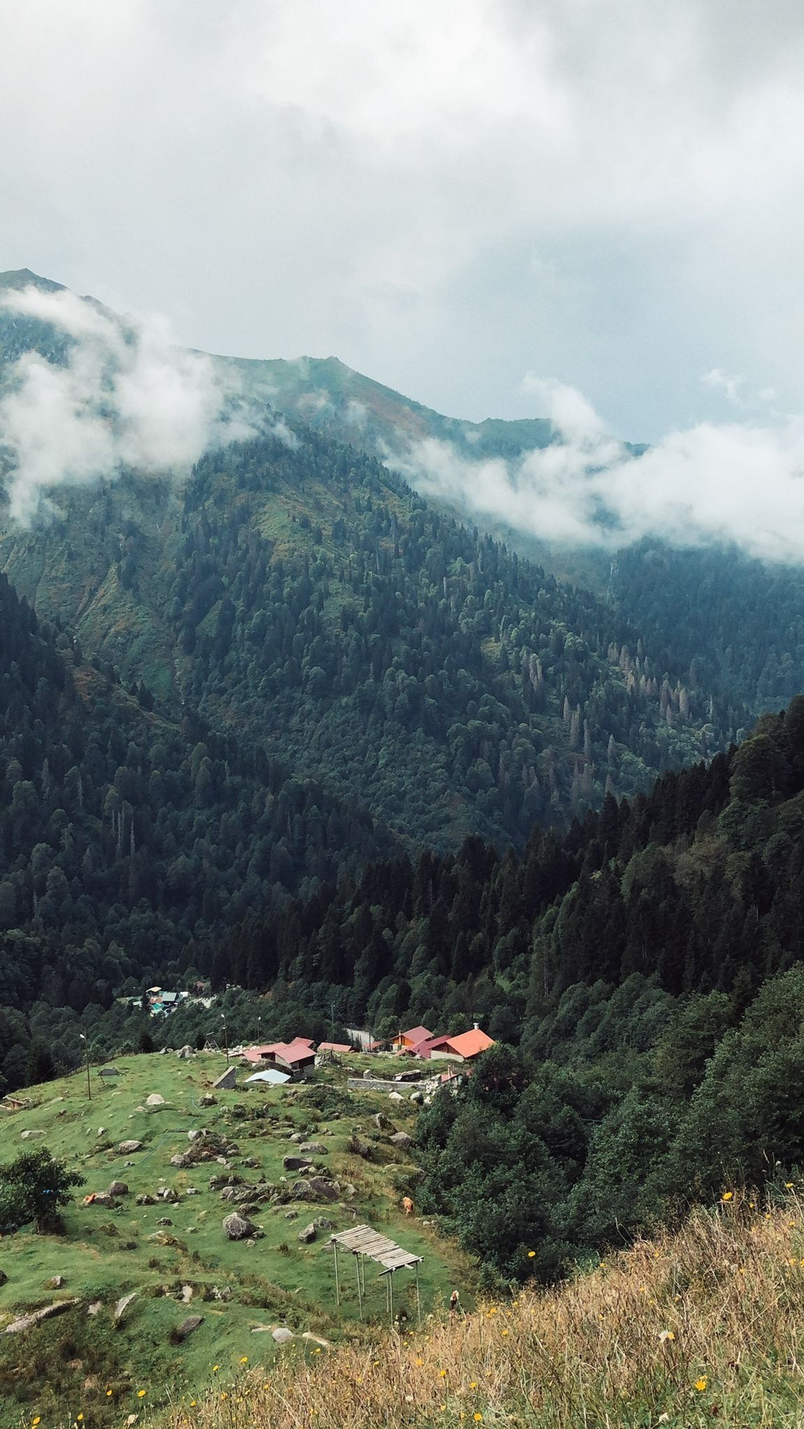A mountainous landscape with a village, houses with red roofs, and dense forest.